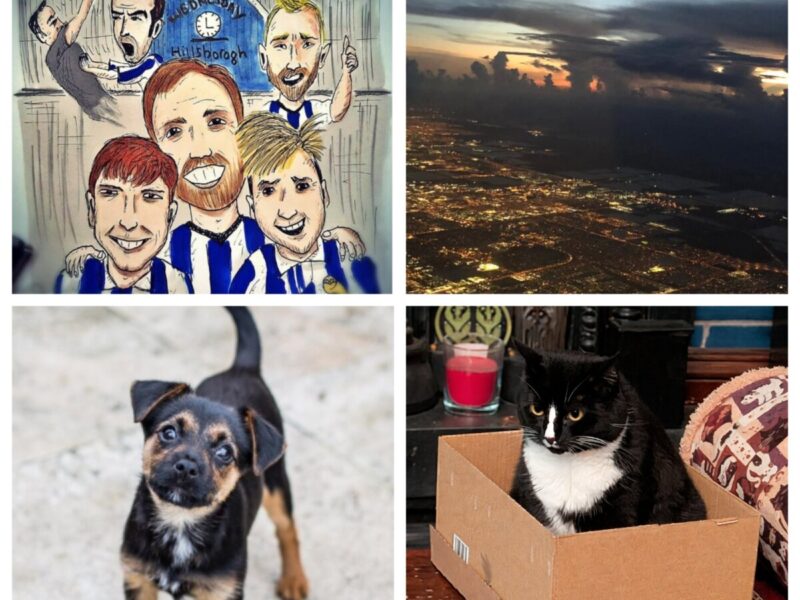 Best FPL GW1 team – 4 FFGeek Contributors Teams